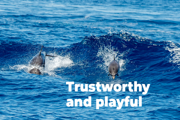 Three dolphins swimming and playing in the ocean, accompanied by the text "Trustworthy and playful," encapsulates our branding vision.