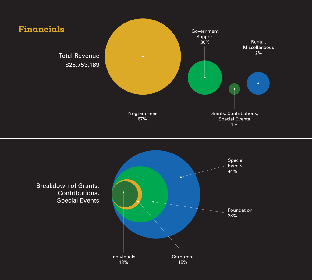 Strategic data visualization is showcased in this financial breakdown infographic featuring pie charts. The top chart illustrates Total Revenue with segments for program fees, government support, and others, while the bottom chart details Grants and Contributions in various categories.
