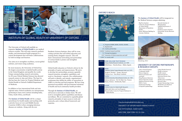 A two-page brochure, designed in a One-Pager Sales format, describes the Institute of Global Health at Oxford—featuring a lab researcher, world map, research partners, building rendering, and program details.